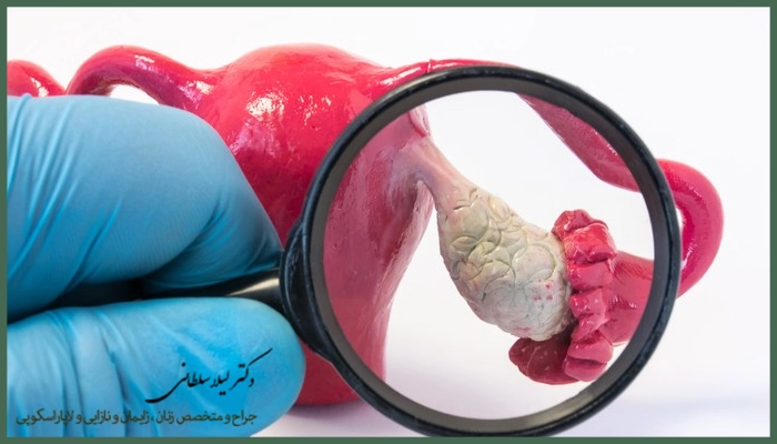 کار تخمدان چیست