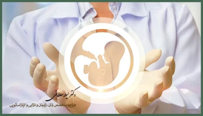 چرا هزینه باروری به روش IVF بالا است؟