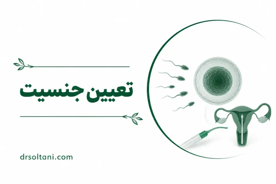 نمای توضیحی درباره تعیین جنسیت با IUI