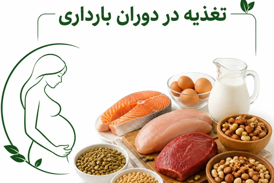 نمای توضیحی درباره منابع پروتئین