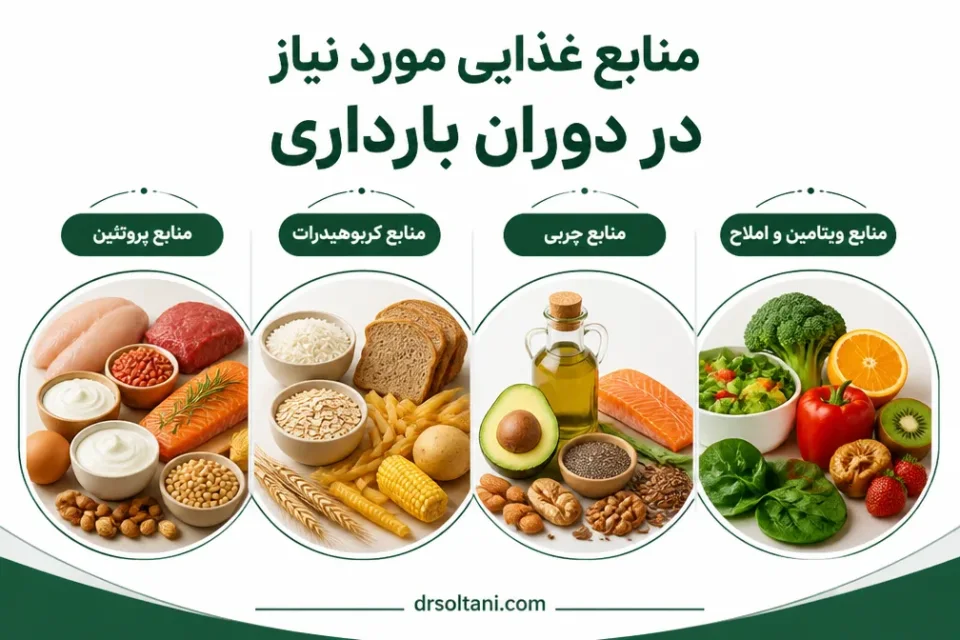 نمای توضیحی درباره منابع پروتئین